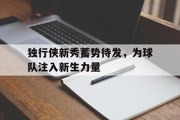 关于独行侠新秀蓄势待发，为球队注入新生力量的信息
