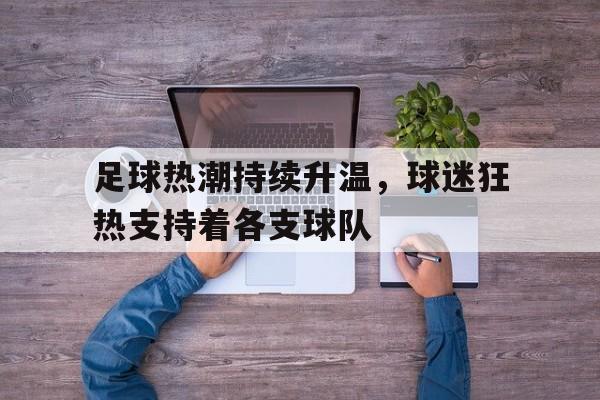 足球热潮持续升温，球迷狂热支持着各支球队的简单介绍